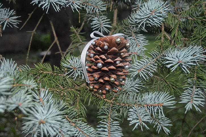 Pinecone Ornament