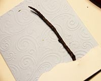 Winter Wonderland Card