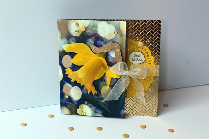 Spring Daffodil Photo Card