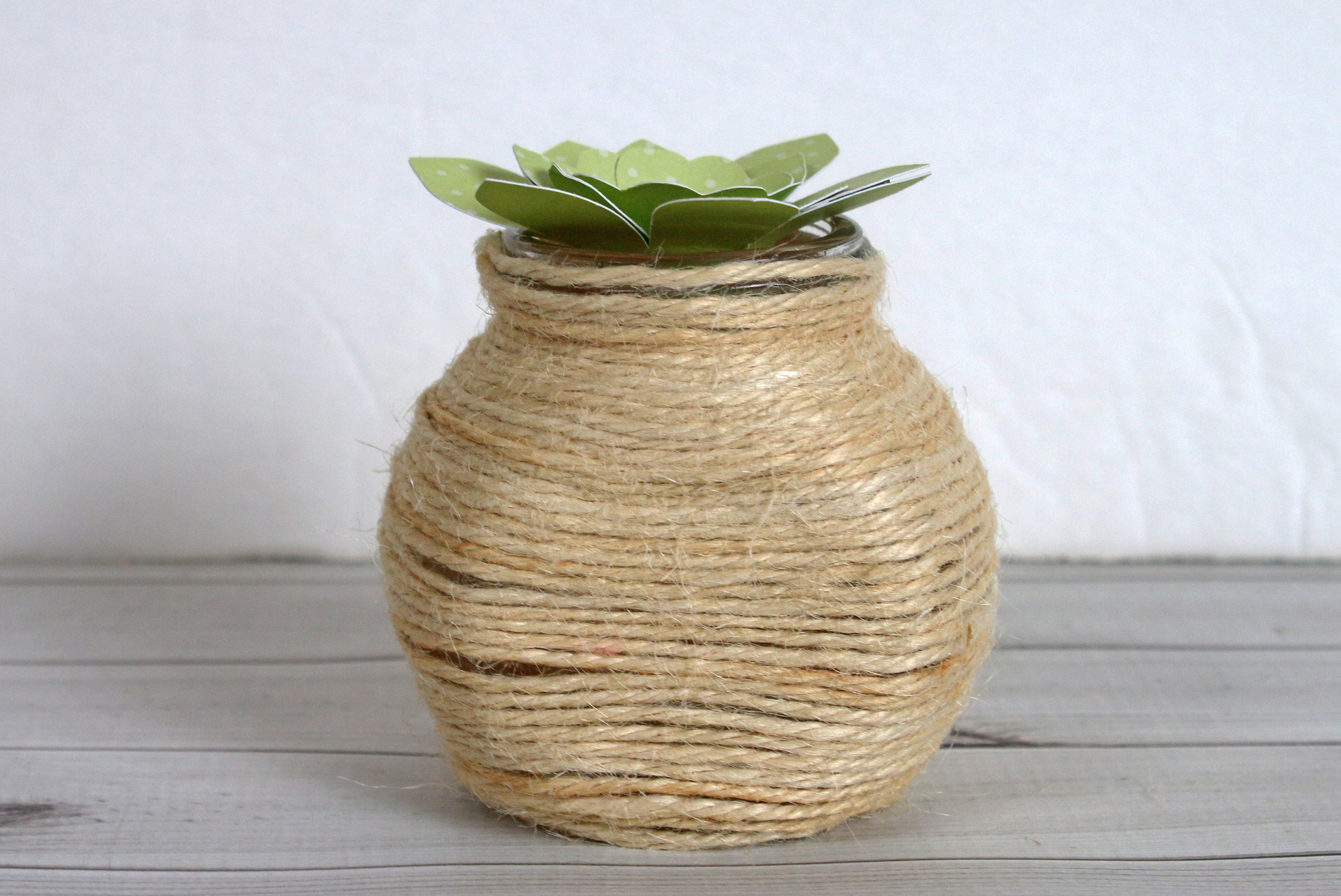 Upcycled Succulent