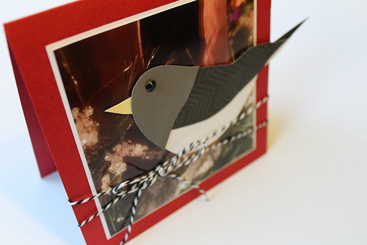 Junco Christmas Card