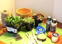 Teacher Appreciation Gift - Succulent Garden