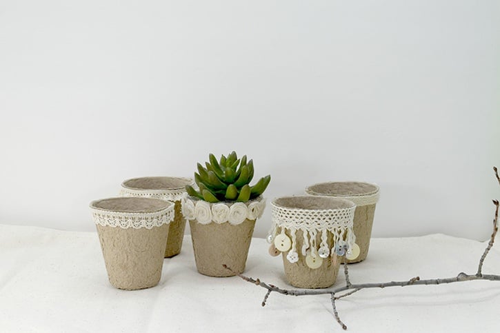 Rustic Wedding Succulent Pots