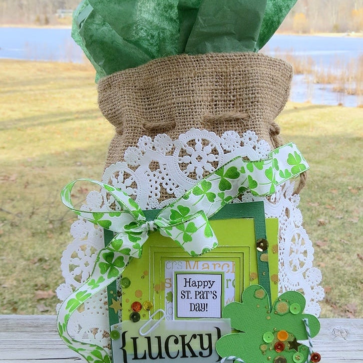 St. Patrick's Day Gift Bag