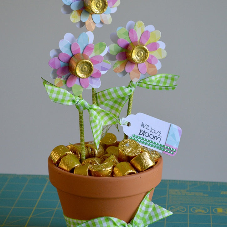 Sweet Blooms Flower Pot